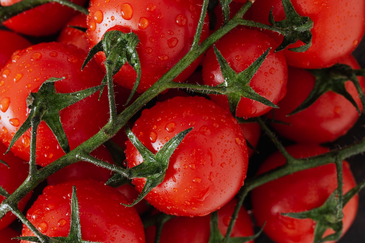 30 Tomato growing secrets!
