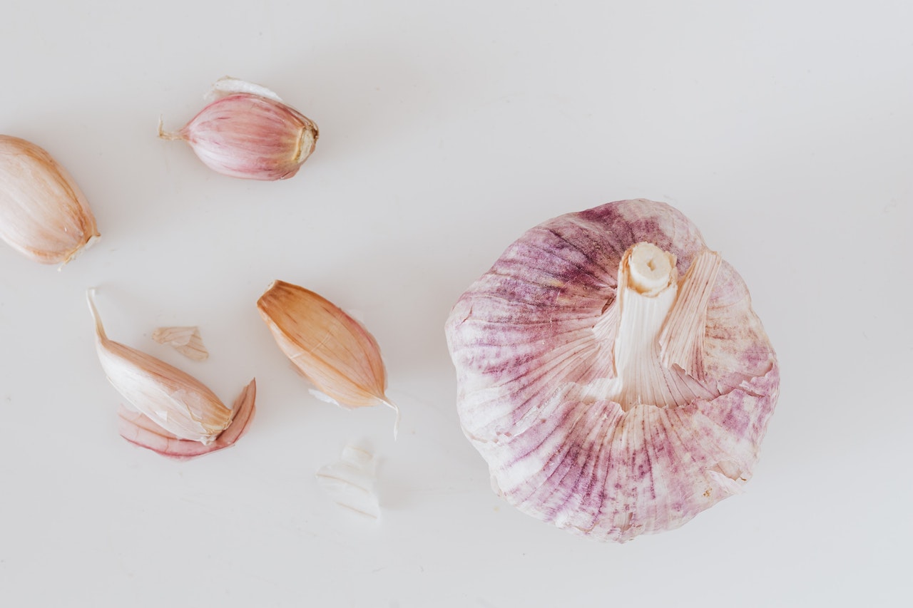 How to grow garlic in texas