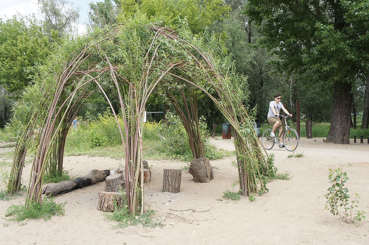 Willow living structures