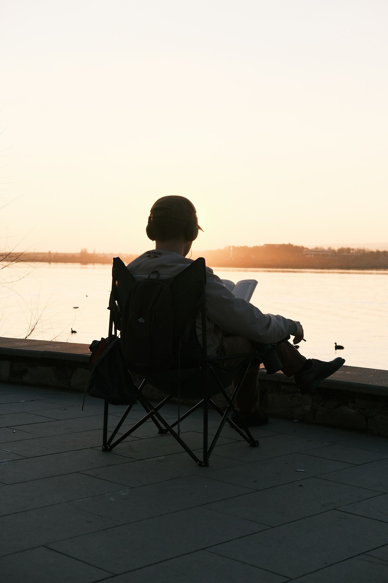 Reflections on Creativity, Passion, and Purpose